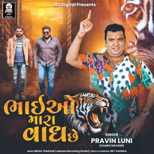 Bhaiyo Mara Vagh Che