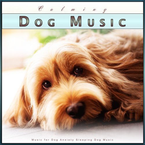 Pet Care Club cover art