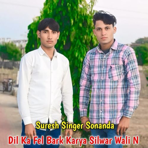 Dil Ka Fel Bark Karya Silwar Wali N