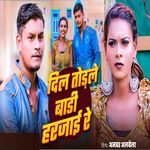 Dil Torle Bari Harjai Re