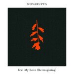 Feel My Love (Novarupta Reimagining)