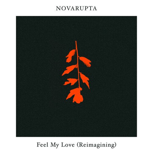 Feel My Love (Novarupta Reimagining)