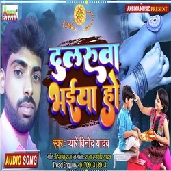 Hamar Dularuaa Bhaiya-SSleexF0b1w