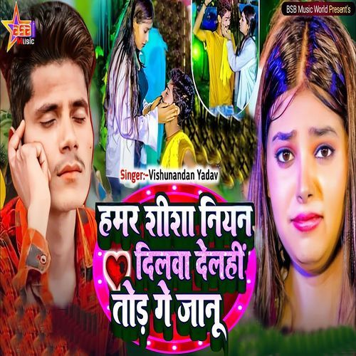 Hamar Shisha Niyan Dilwa Delhi Tod Ge Janu_poster_image