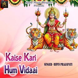 Kaise Kari Hum Vidaai