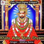 Khatu Wale Mare Shyam