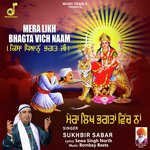 MERA LIKH BHAGTA VICH NAAM