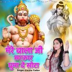 Mere Balaji Sarkar Ghumade Shota