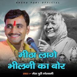 Mita Lage Bhilni Ka Bor