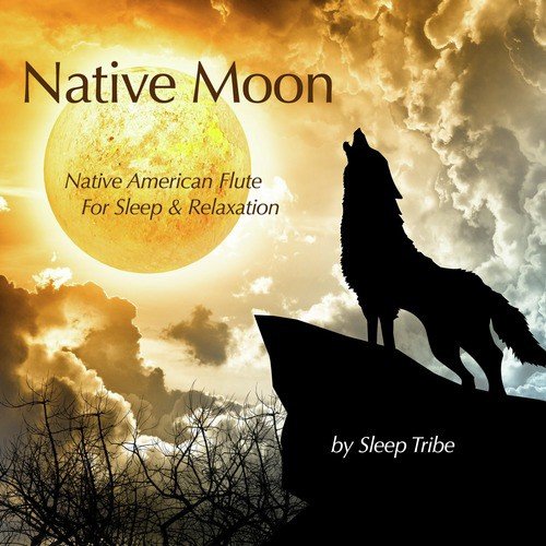 Native Moon (Native American Flute for Sleep &amp; Relaxation)_poster_image