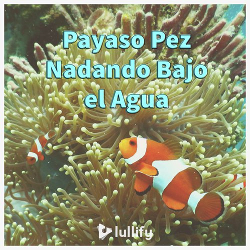 Pez payaso cover art