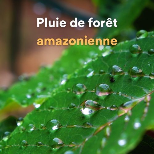 Jungle Atmospheres cover art