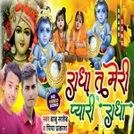 Radha tu meri peyari radha (janmathini song)