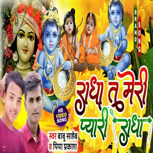 Radha Tu Meri Peyari Radha