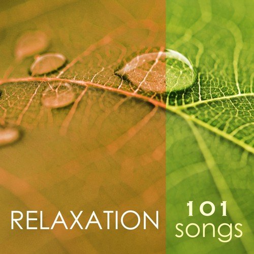 Spa Music Relaxation Meditation