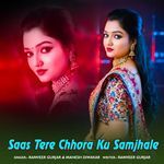 Saas Tere Chhora Ku Samjhale artwork