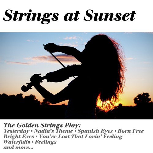 The Sunshine String Ensemble