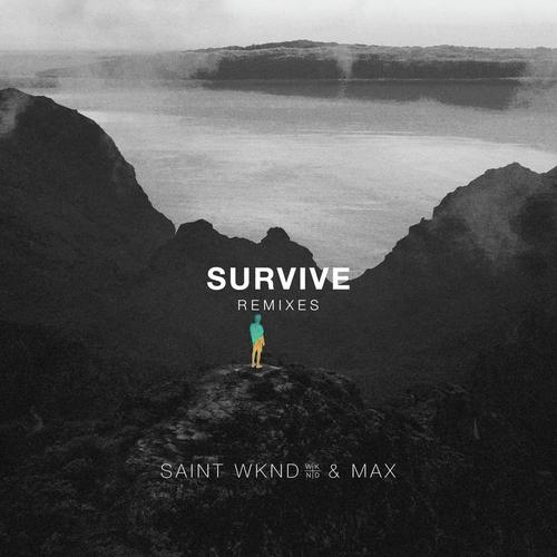 Survive (Remixes)_poster_image