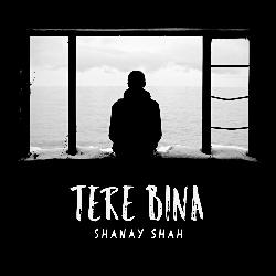 Tere Bina-Hx4BfAxxTwA