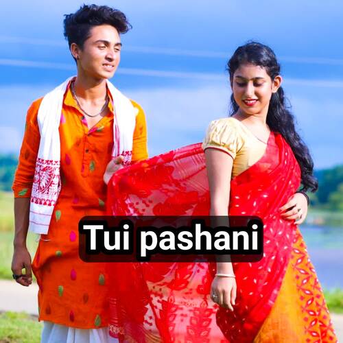 Tui Pashani