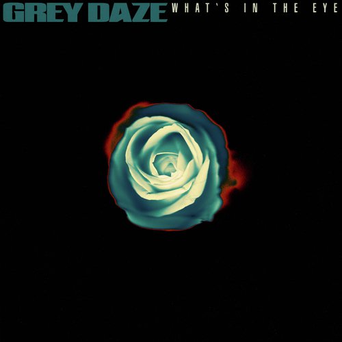Grey Daze
