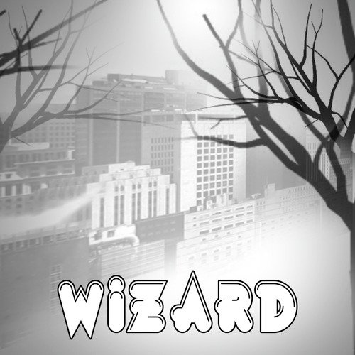 Wizard (Originally Performed by Martin Garrix & Jay Hardway)