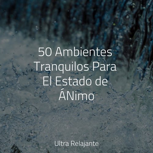 50 Ambientes Tranquilos Para El Estado de ÁNimo