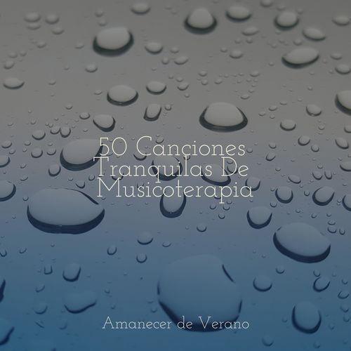 50 Canciones Tranquilas De Musicoterapia