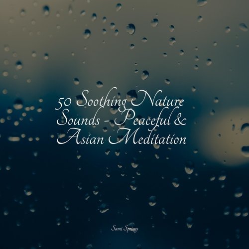 50 Nature Sounds_poster_image