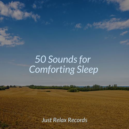 50 Sounds for Comforting Sleep_poster_image