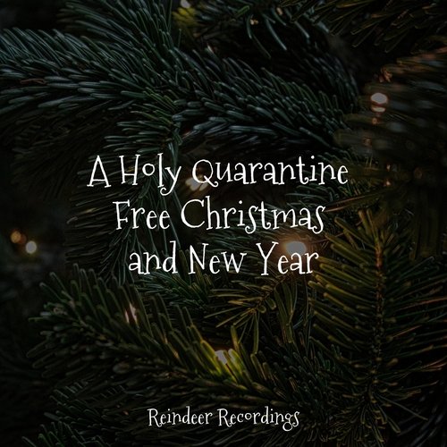 A Holy Quarantine Free Christmas and New Year