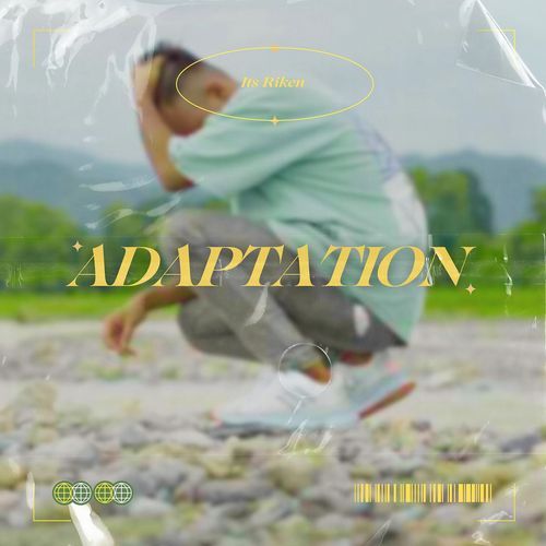 Adaptation