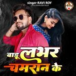 Baru Lover Chamran Ke