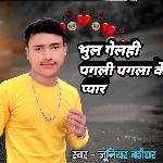 Bhul Gelhi Pagli Pagla Ke Pyar