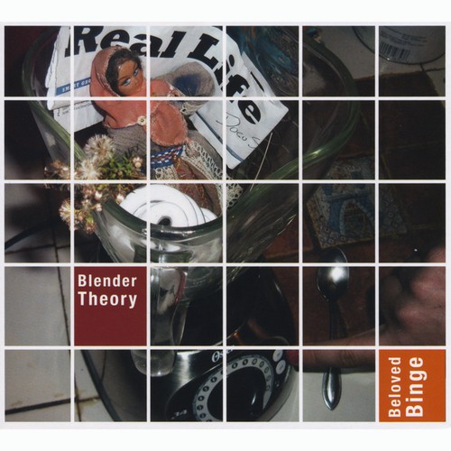 (Got) Married On MySpace cover art