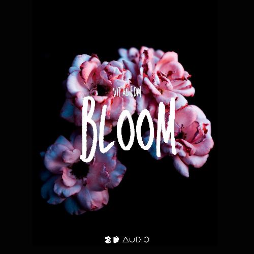 Bloom