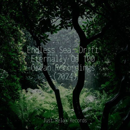 Endless Sea: Drift Eternally On 100 Ocean Recordings (2024)