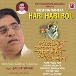 Hari Hari Bol