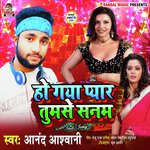 Ho Gaya Pyar Tumse Sanam (Hindi Song)