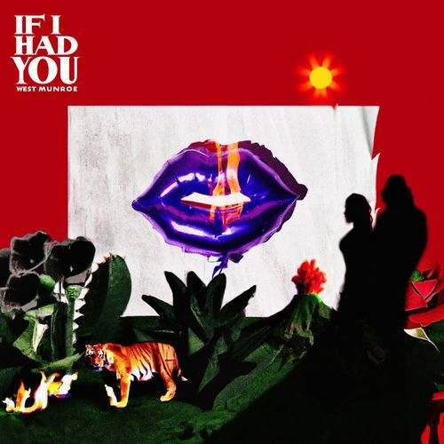 Signs cover art