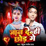 Jaan Denhi Chhor Ge