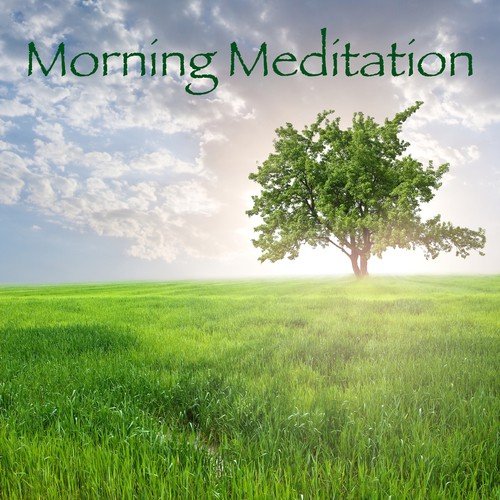 Morning Meditation - The Best of Yoga Meditation Music for Relaxation Techniques