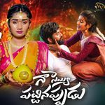 Na Seyyi Patinappudu