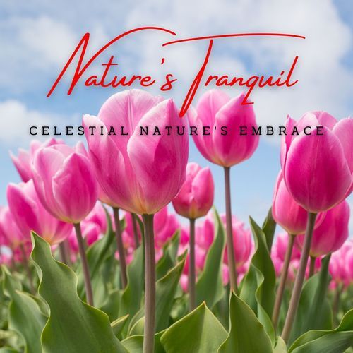 Nature's Tranquil Whispers: Meditative Melodies for Serenity_poster_image