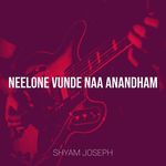 Neelone Vunde Naa Anandham