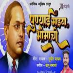 Punyai Mazya Bhimachi