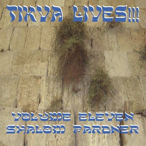 Tikva Lives!, Vol. 11: Shalom Pardner