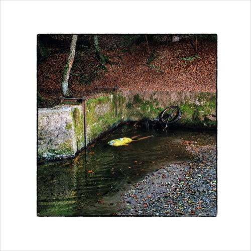 Cris cover art