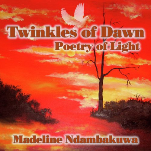 Fire-Works cover art
