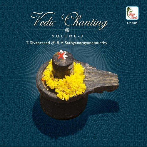 Vedic Chanting, Vol. 3_poster_image